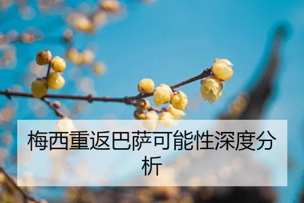mei-xi-chong-fan-ba-sa-ke-neng-xing-shen-du-fen-xi-2-632.jpg